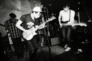 beach-fossils