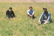 real-estate