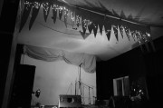 shea-stage
