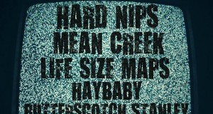 hardnips-600